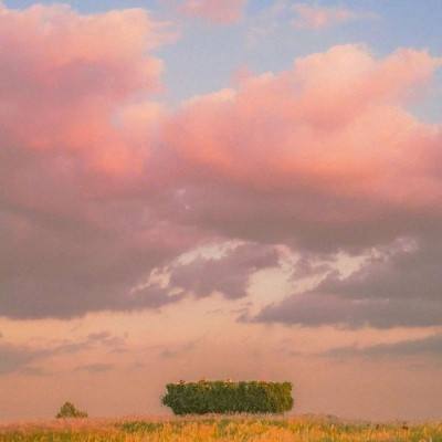 幸运彩票手机app下载