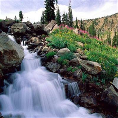 台湾福星彩下载手机版