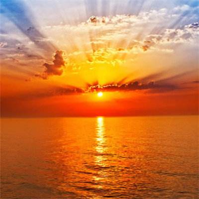 澳门网上黄金城app下载截图