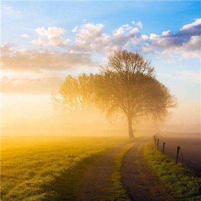 澳门网上黄金城app下载